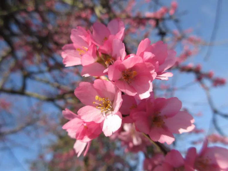 bFoic9fJo4B3vQZAegrkqgt6VVbaMdPUd8V2Nf0uQD4fEjPan3N7BkcjQ42BvV8RRam868SbicFVbQmNwVDhUU0g