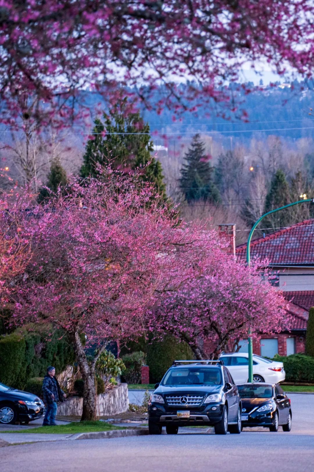 bFoic9fJo4B3vQZAegrkqgt6VVbaMdPUdDYdJ7EfBynWReeCV1nlngwqRO3LQeKfGlibicbAXOV46TFaMEMjKqkHA