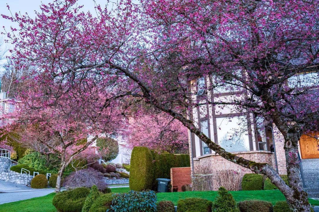 bFoic9fJo4B3vQZAegrkqgt6VVbaMdPUdG37FcBt8WZRIWXesaJJTCFPXBOR0aJmTgjxtq9TegysGkk7NxRU29A