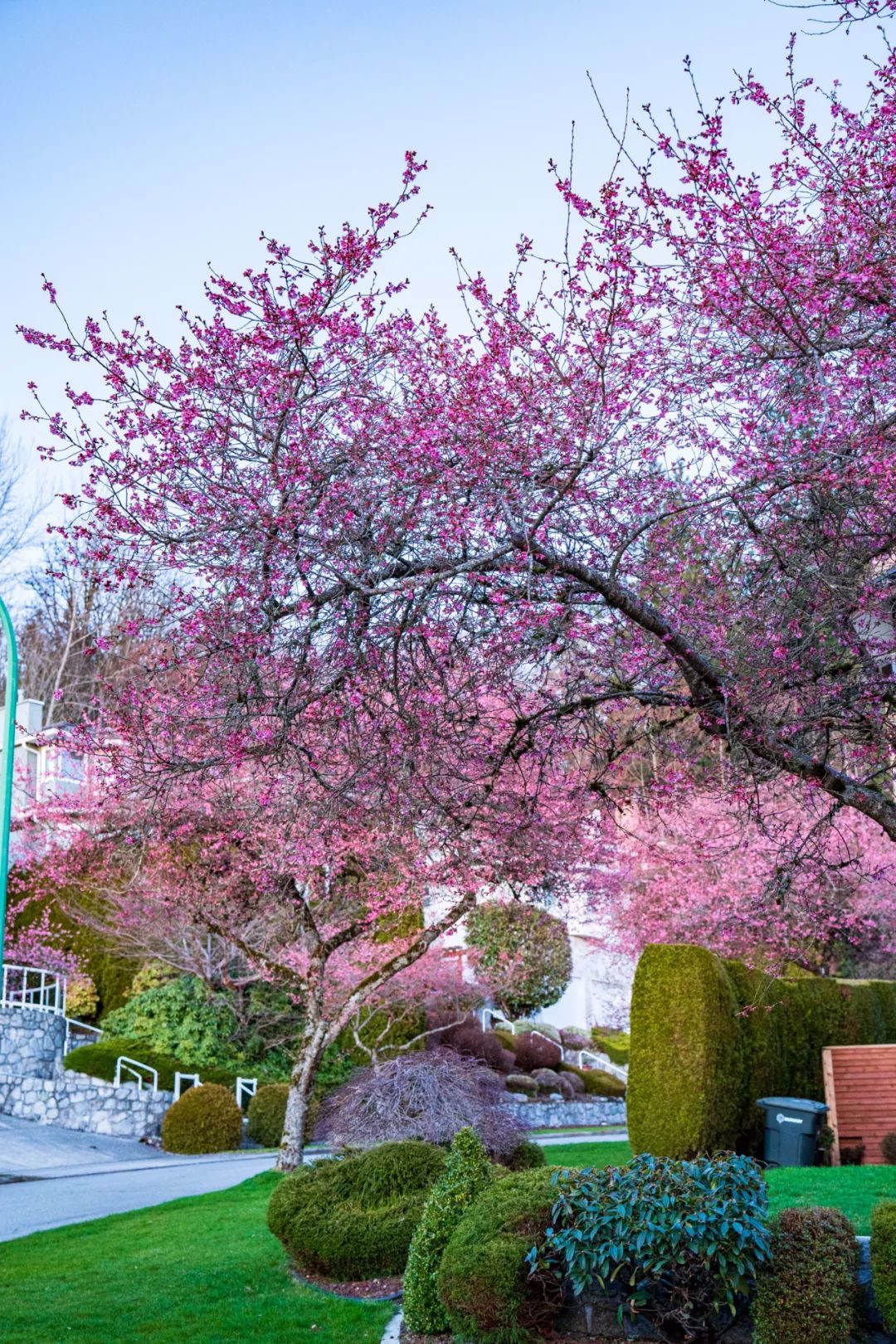 bFoic9fJo4B3vQZAegrkqgt6VVbaMdPUdPuYOn025dprsgjI2TVhOKSNHibia1s3sLZwRIjLSo7fGr3e4WzUYfwfw