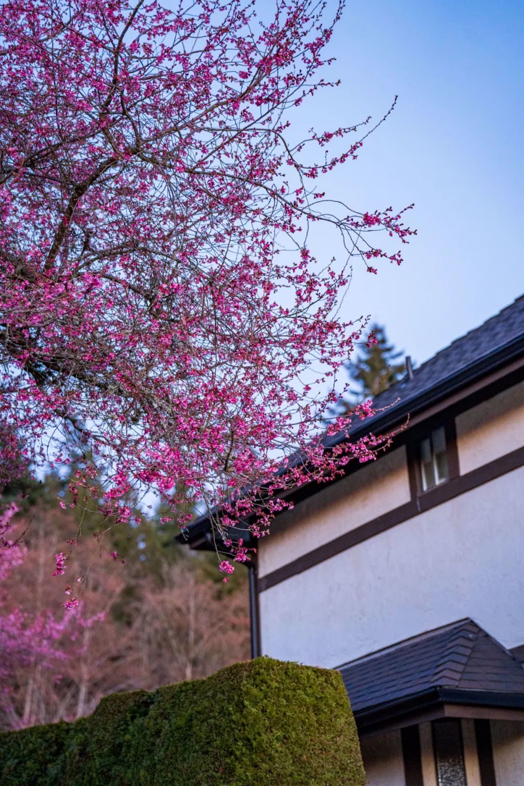 bFoic9fJo4B3vQZAegrkqgt6VVbaMdPUdfPeGMibwKjDJLUomp2mAicHlnfCfstNa7WyxkAFgJRdukvrYicfdQ32KA