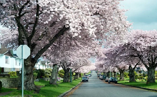 bFoic9fJo4B3vQZAegrkqgt6VVbaMdPUdibtyn17aAOMvrZF0xcULfOXxJAxff6KK0edhgn8w4j4fOibIXBEcV0aQ