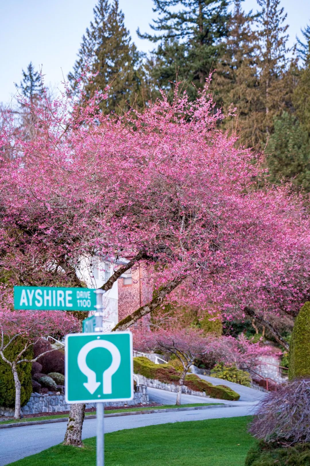 bFoic9fJo4B3vQZAegrkqgt6VVbaMdPUdtRXWhsyOXlpBYicFoxXVLzqnibNNxiaHJHDG2quEbRBBWO2ccNKALPLTQ