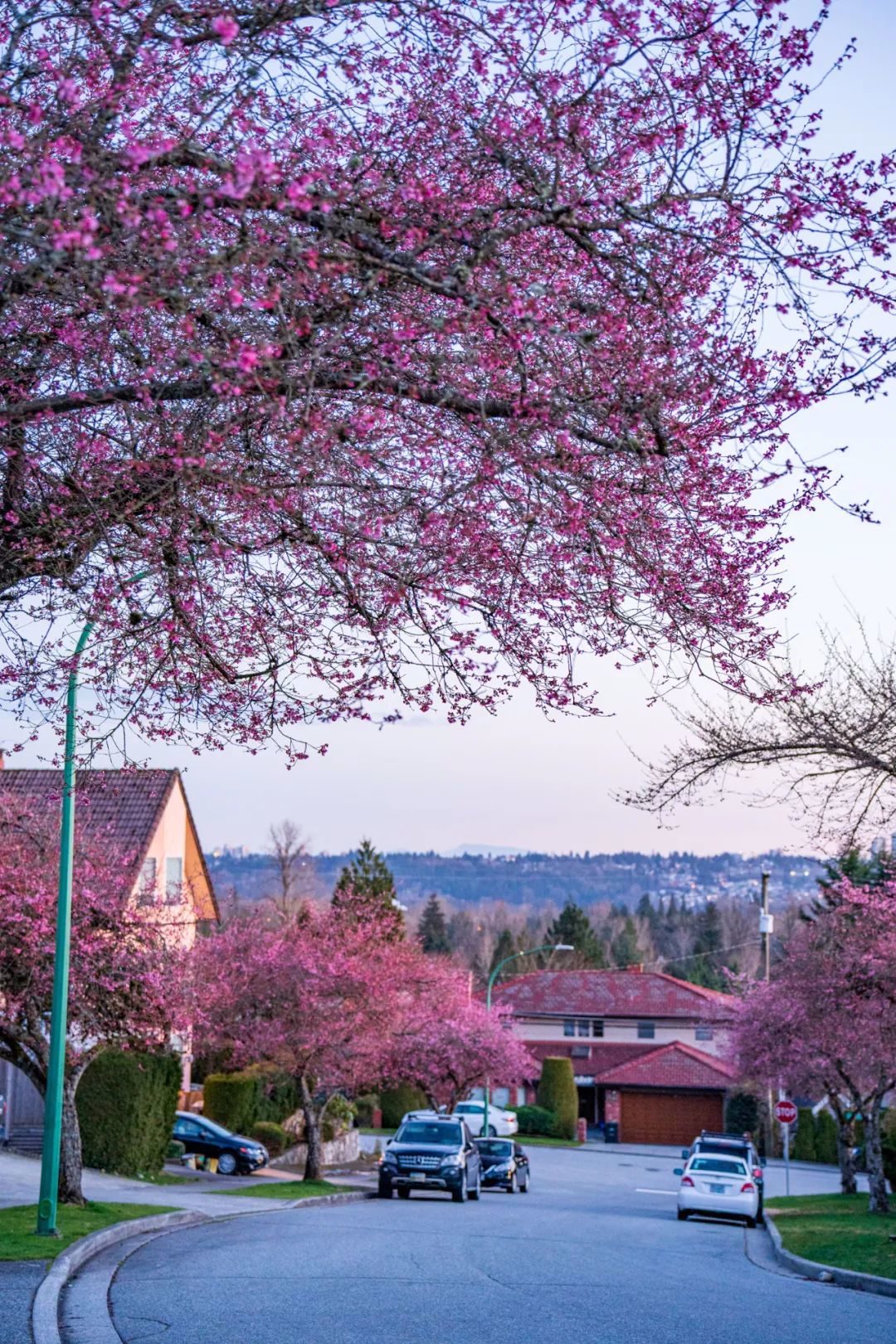 bFoic9fJo4B3vQZAegrkqgt6VVbaMdPUdzO3Vib0JjQ2VGV61QOsa7M1FXdic5AKPqOvPW7o6s1I6wdUSj3k5MvNQ