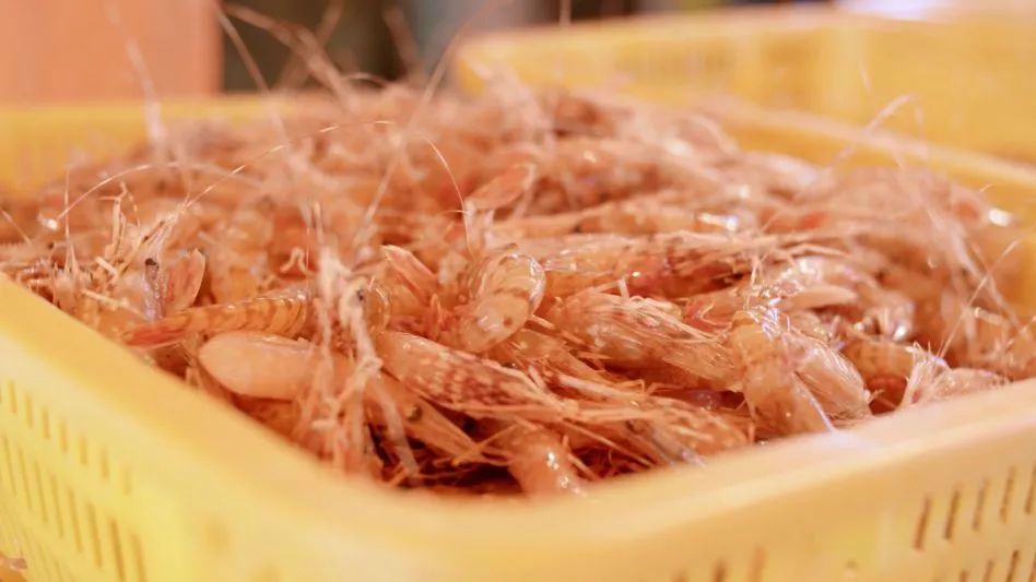 gic4TQyyPjS7nw9fonSXQevD0kbOGuK9kAW6SgylDv8ruibtL8YVRpFMpQKm5DHDROgZEzTBVNd8chCcBVMqOKug gic4TQyyPjS7nw9fonSXQevD0kbOGuK9kAW6SgylDv8ruibtL8YVRpFMpQKm5DHDROgZEzTBVNd8chCcBVMqOKug