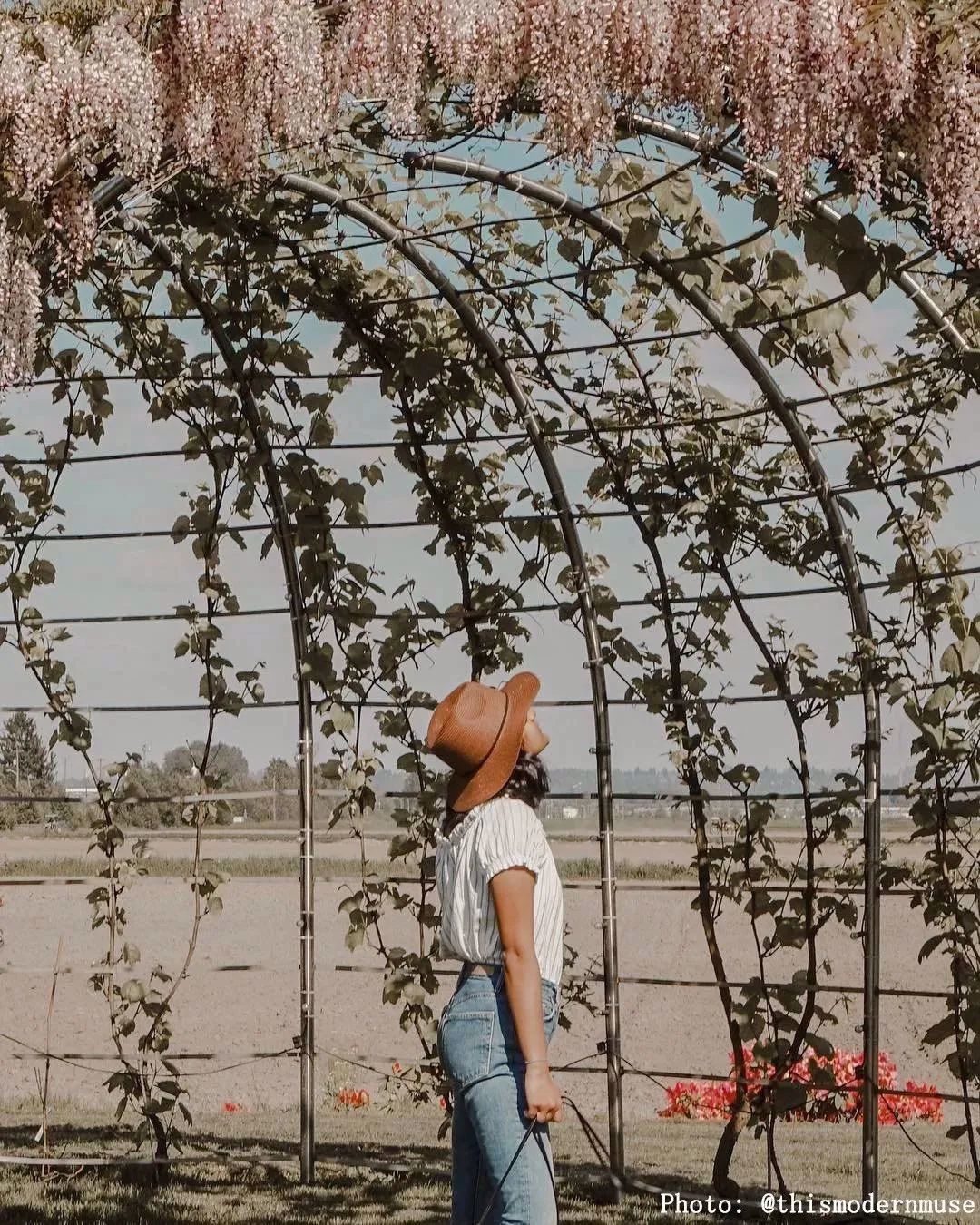 gic4TQyyPjS7nw9fonSXQevD0kbOGuK9kQ0icmeZrmvaGncYK2e4Hdj9JibicuWs2uzj4iau77bbIrwQSIaNp51eq8A gic4TQyyPjS7nw9fonSXQevD0kbOGuK9kQ0icmeZrmvaGncYK2e4Hdj9JibicuWs2uzj4iau77bbIrwQSIaNp51eq8A