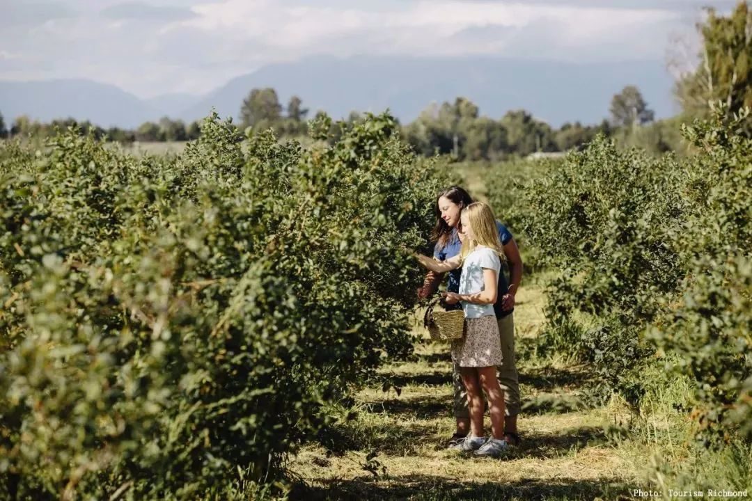 gic4TQyyPjS7nw9fonSXQevD0kbOGuK9kYgzgicy9OHLO4kk07tsmEGbgZ4j3A6dCayNcrTNuLNV8TgXGuZJV1yw gic4TQyyPjS7nw9fonSXQevD0kbOGuK9kYgzgicy9OHLO4kk07tsmEGbgZ4j3A6dCayNcrTNuLNV8TgXGuZJV1yw