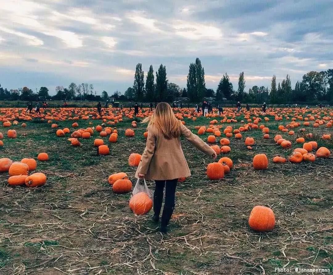 gic4TQyyPjS7nw9fonSXQevD0kbOGuK9ktUfxc4XZ80lcWcN3ISfNqSGscN4LjuWIico7Txs3TAWsibNlAVMyfPSA gic4TQyyPjS7nw9fonSXQevD0kbOGuK9ktUfxc4XZ80lcWcN3ISfNqSGscN4LjuWIico7Txs3TAWsibNlAVMyfPSA