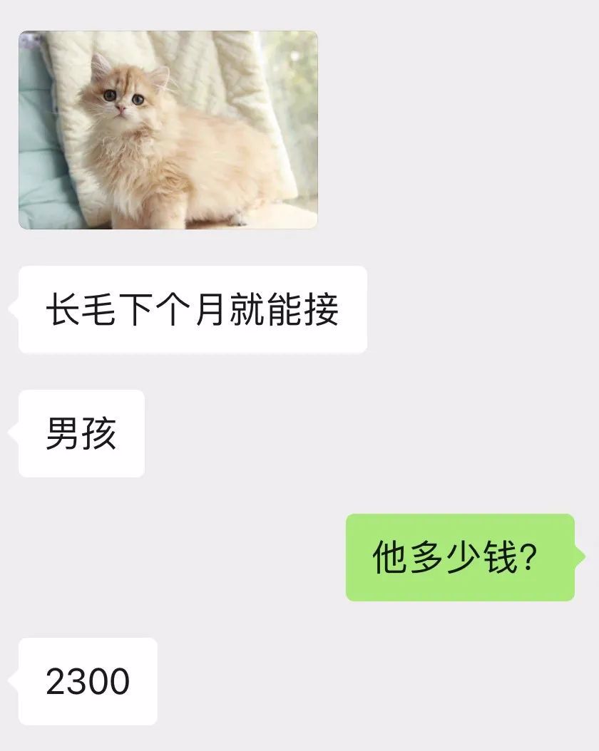pSThXxDOdw8iabjbcAfuxdHiatmKDaRI54GN70sWukffvhTf6fUegHF4gLC34g53tldqicrayVKQbXPOLsSz5EPSg
