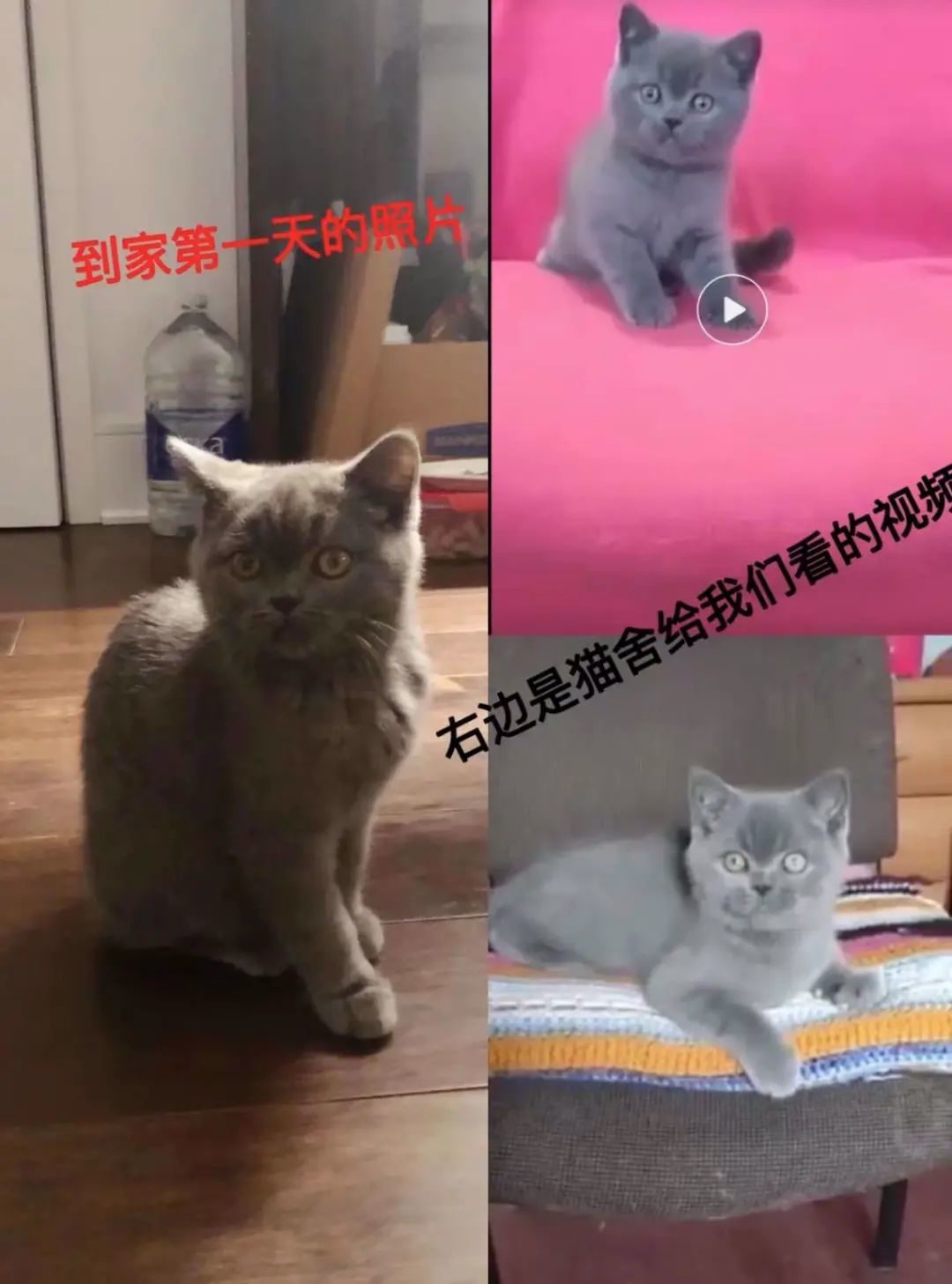 pSThXxDOdw8iabjbcAfuxdHiatmKDaRI54zktz2o1EHLNUoJs2c9tDnBGkwqqU9hc7CiczHMQKO5Gs7iaKmlLRB3aQ