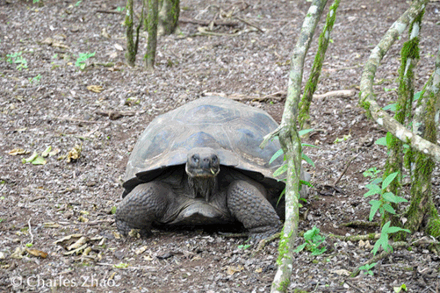 wKgE2l1bq1WAPg_pABLIvnbvvCE908_gz7QUt2ZfbiM