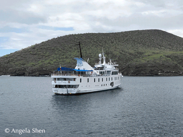 wKgE2l1bq1aANKb3AA1mH0tIkk4034_vWmfVSVVMlAB