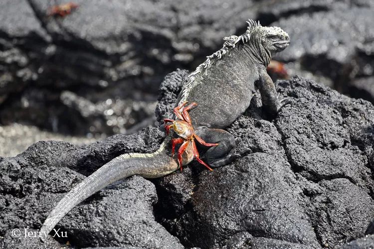 wKgEaV2cI5-Abu6dAAHKAmym6wg87_wRY4ym42bB7h