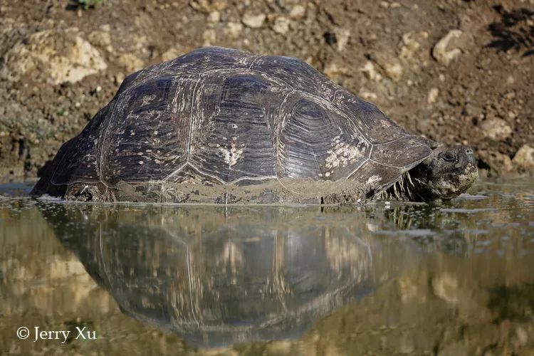 wKgEaV2cI52AYzxIAAE5iCqT_P861_0q3WTKAsFcXa