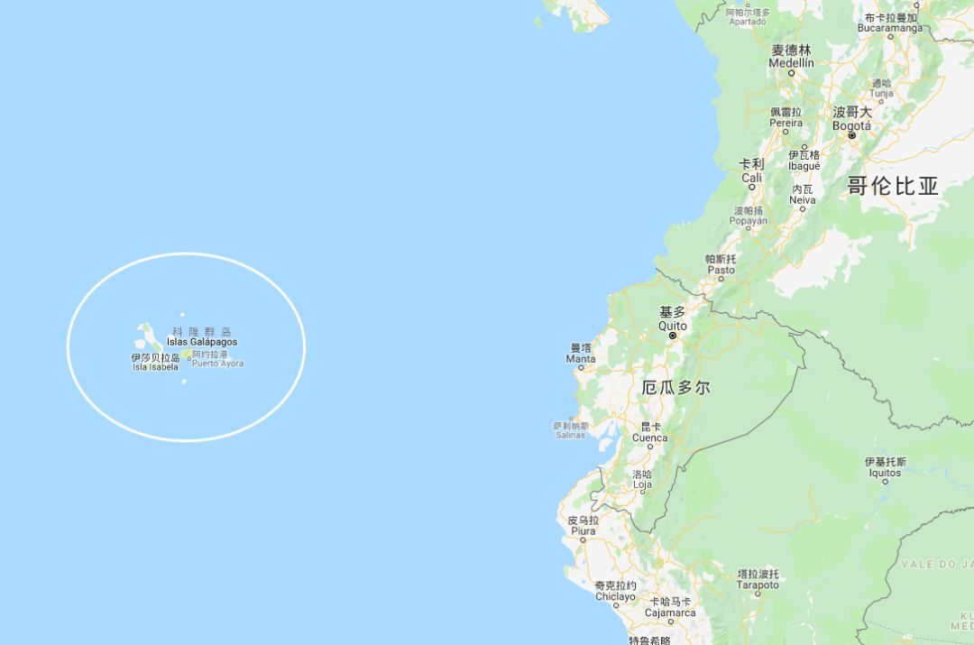 wKgEaV2cI5uAWaZZAADHhGrpkDc84_0dib3rv1soa8