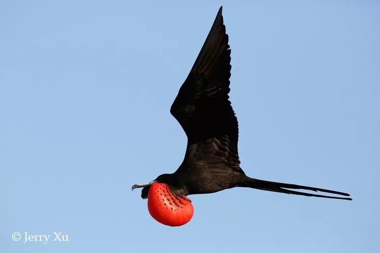 wKgEaV2cI6-AKZsqAAA9fhGwCYg00_t3pvS5Onhjte