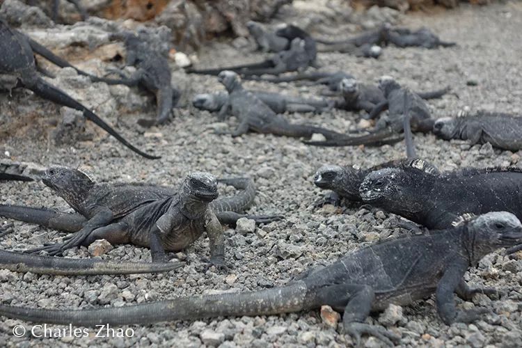 wKgEaV2cI6CABanSAAFynUEjf6A02_2s0X3LEEyb0k