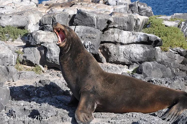 wKgEaV2cI6CANVbPAAHZN0LDU_E90_06BJNRekWUsc