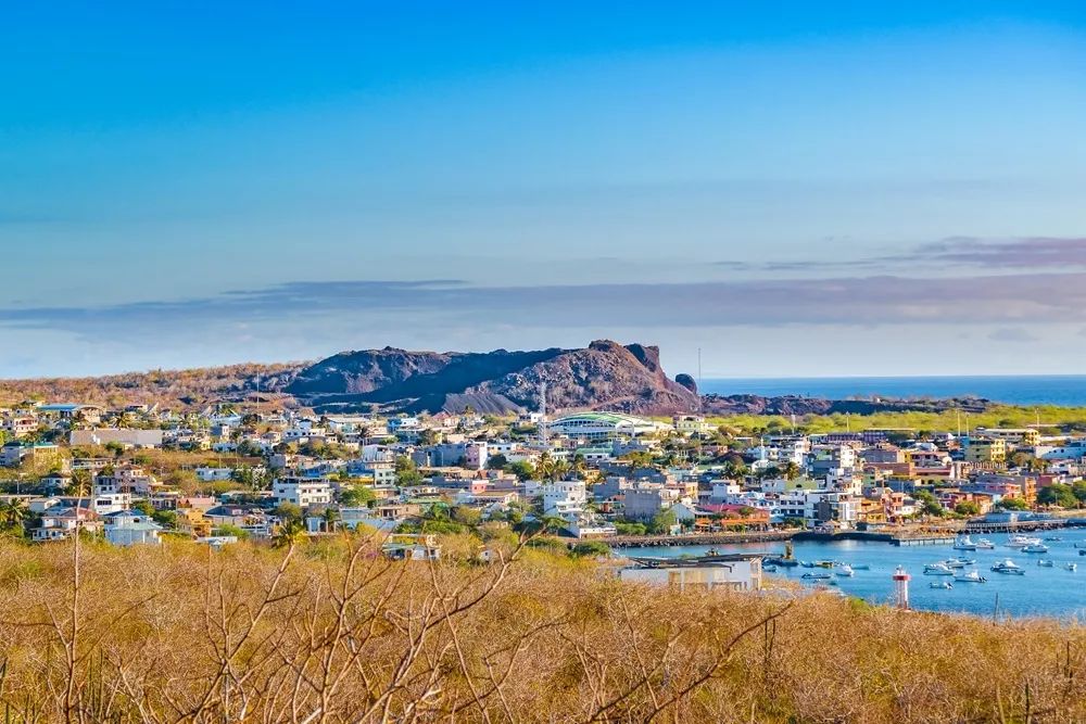 wKgEaV2cI6OAYQDHAAI9IX9p1Os48_3MHfpACxowPW