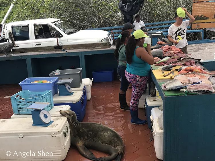 wKgEaV2cI6SAWxatAAGZVlcDPNM64_M3bvorTUTr1Y