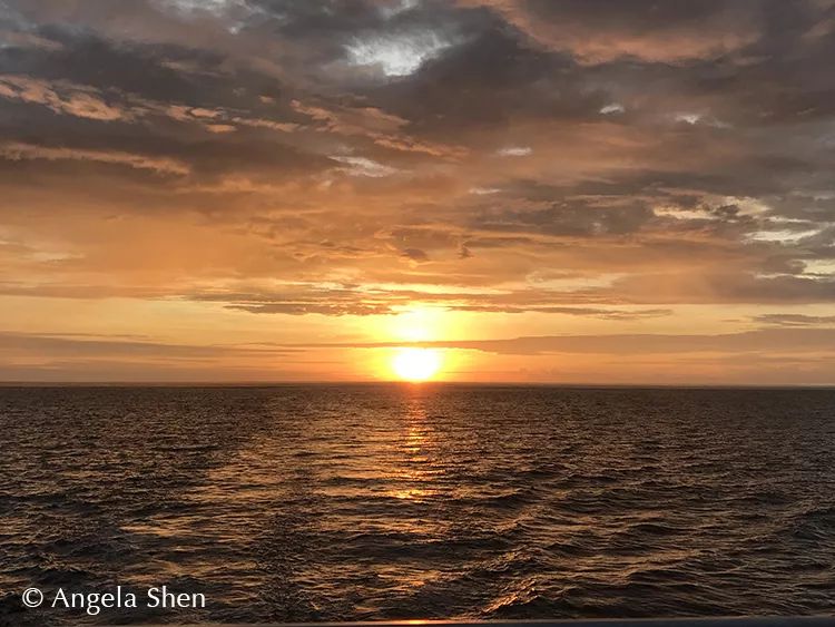 wKgEaV2cI6iATyhMAAEoQv5yeJg00_Y1m2pJ5yb9N2