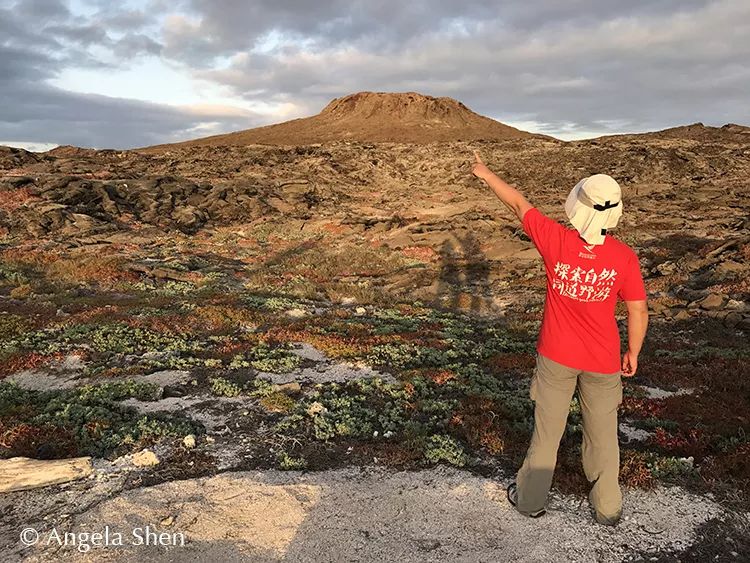 wKgEaV2cI7CARJQSAAIT8ZRH_zU19_Uu13a62rQnHS