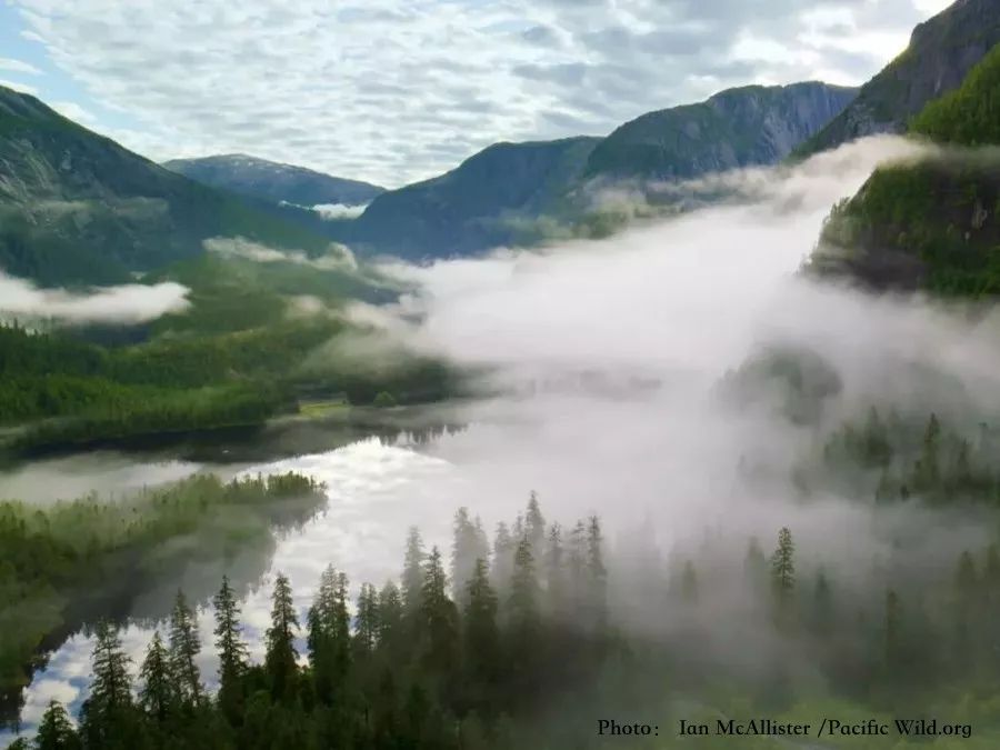 2222C694E037DB437B2D4FA675DCF95CBBD2DC9E_size58_w900_h675_9b6qf 2222C694E037DB437B2D4FA675DCF95CBBD2DC9E_size58_w900_h675_9b6qf