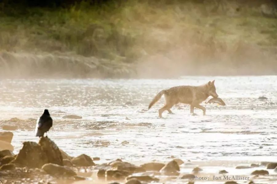 2B95D436C41B834CA45072F15270EC11318AD7D7_size63_w900_h600_87q31 2B95D436C41B834CA45072F15270EC11318AD7D7_size63_w900_h600_87q31