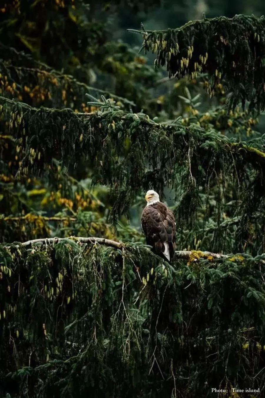 33EF682313109B042B46857511D80E1CCD7CD021_size192_w900_h1348_lwpdc 33EF682313109B042B46857511D80E1CCD7CD021_size192_w900_h1348_lwpdc