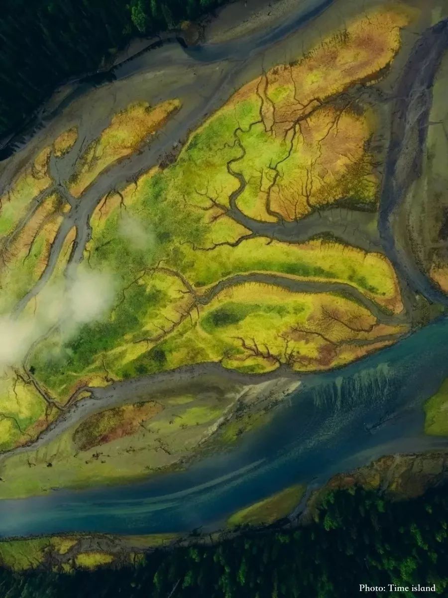 4E59CF42782F10B5B907AE1BD6A72D2AA9ED0798_size151_w900_h1200_limi6 4E59CF42782F10B5B907AE1BD6A72D2AA9ED0798_size151_w900_h1200_limi6