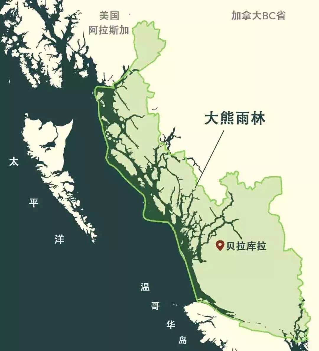 52F2484592CE852F3A3FA48453A5D9C9520BB8A1_size102_w1080_h1190_01bzs 52F2484592CE852F3A3FA48453A5D9C9520BB8A1_size102_w1080_h1190_01bzs