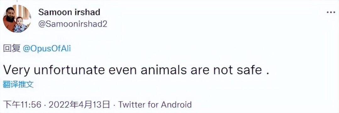 5734647e94024dd997ef3fed68d2e331_kdrae