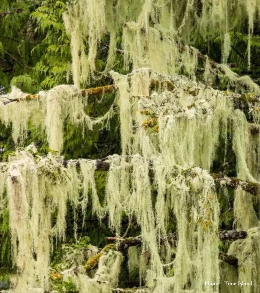 64097E9A928259D2A1B67D74EED98FE3FBAF3A7B_size189_w900_h1016_wycoe 64097E9A928259D2A1B67D74EED98FE3FBAF3A7B_size189_w900_h1016_wycoe