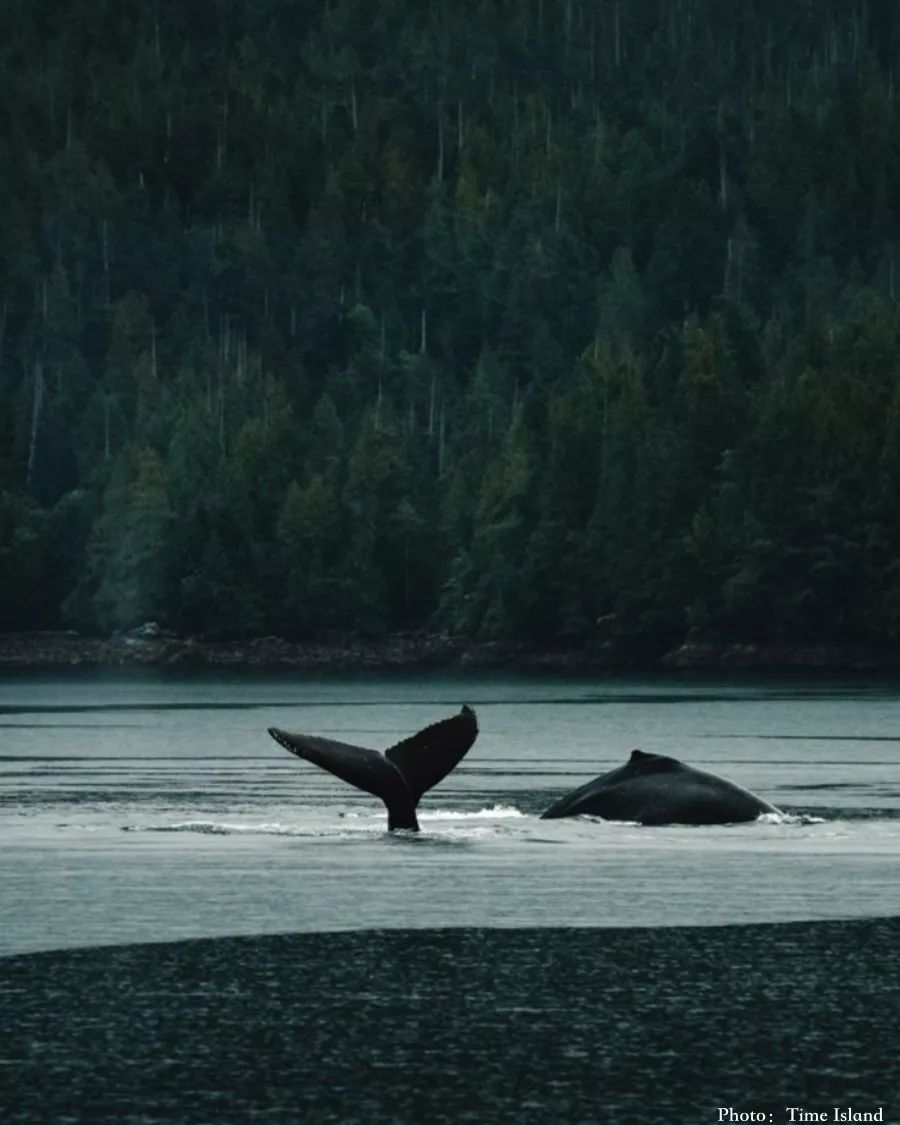 6BC9B0CFB376465EEE30BB341306772D7B3E2225_size88_w900_h1125_cbrx3 6BC9B0CFB376465EEE30BB341306772D7B3E2225_size88_w900_h1125_cbrx3