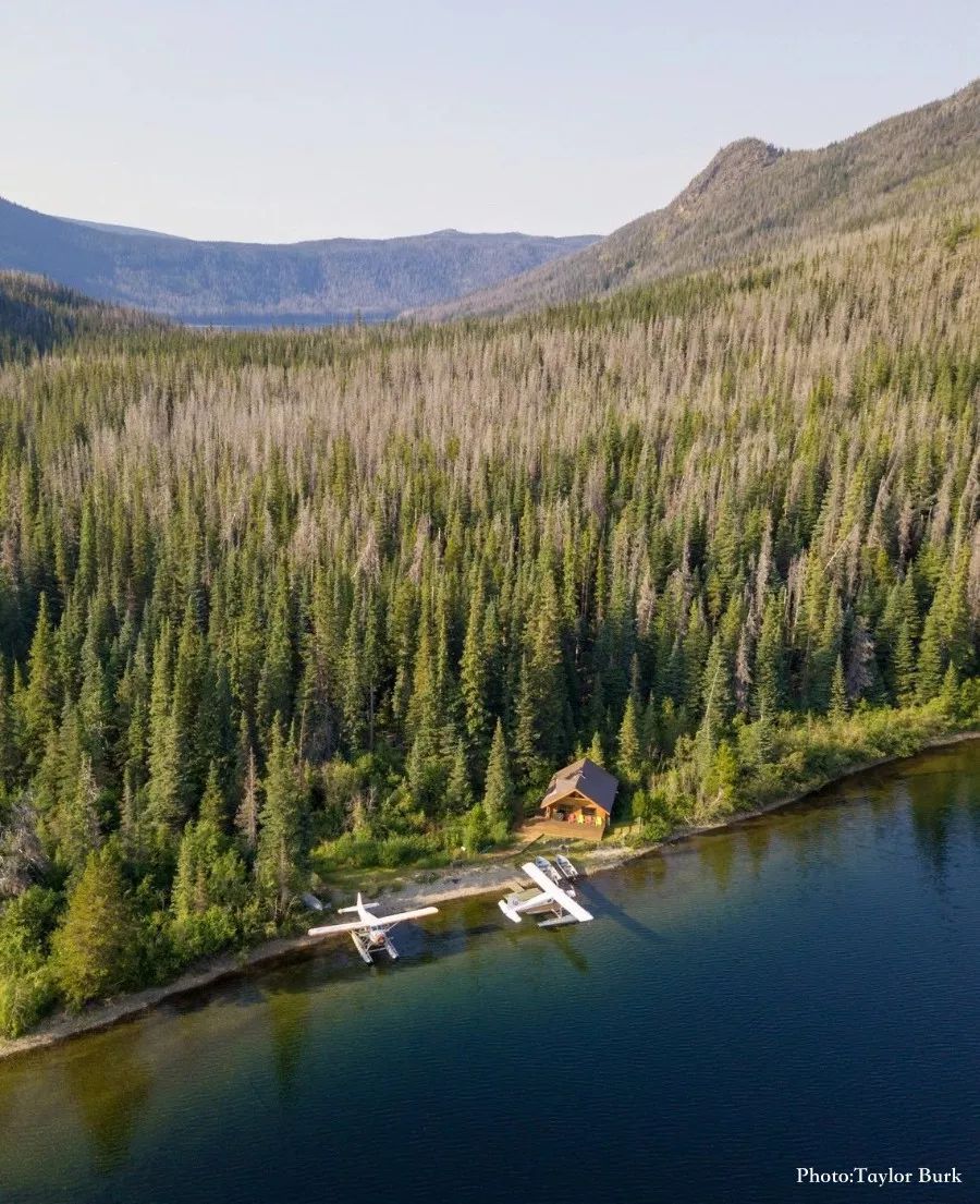 6FF780EB2D92FE65E878DEC92441DB7E3F0B11FD_size203_w900_h1105_pw35s 6FF780EB2D92FE65E878DEC92441DB7E3F0B11FD_size203_w900_h1105_pw35s