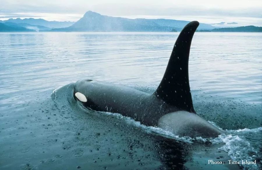 767C432FEF68F9BE06DDC9DA8EF90E07820BBE5F_size73_w900_h585_lzz9v 767C432FEF68F9BE06DDC9DA8EF90E07820BBE5F_size73_w900_h585_lzz9v