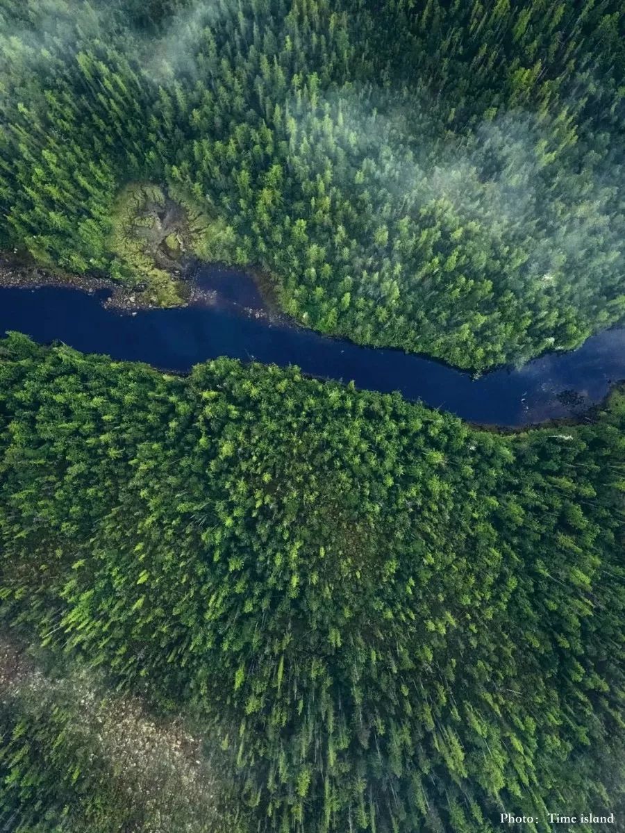 808B6CC42F257B9B6BAB932C91F5086BFCABABA1_size276_w900_h1199_dp2ld 808B6CC42F257B9B6BAB932C91F5086BFCABABA1_size276_w900_h1199_dp2ld