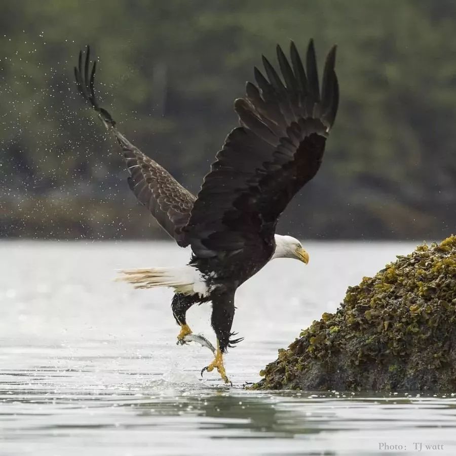 8427EE4701DA5E045D2CACA3D058415F6AB25CE4_size92_w900_h900_ewso2 8427EE4701DA5E045D2CACA3D058415F6AB25CE4_size92_w900_h900_ewso2