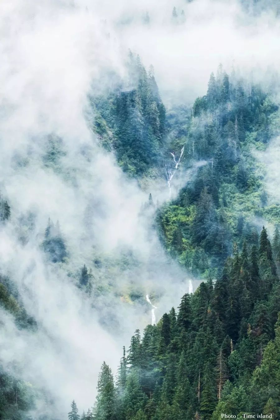 8C9AF321BA8D23321EE9AF91FEB962E012F01340_size161_w900_h1350_5cy6b 8C9AF321BA8D23321EE9AF91FEB962E012F01340_size161_w900_h1350_5cy6b