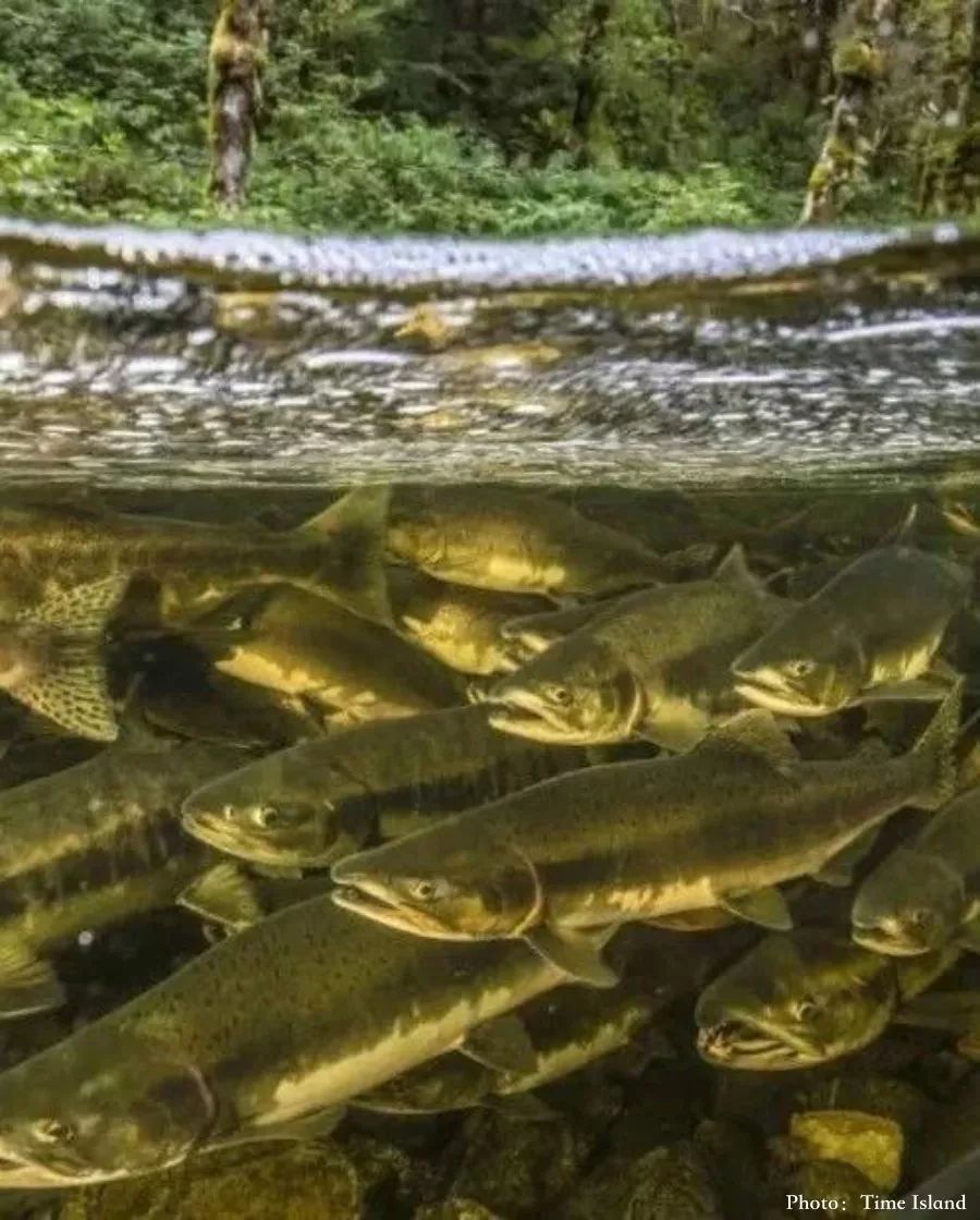 957141A07B9070A6BC169D8F663587E966190C02_size134_w900_h1120_68j07 957141A07B9070A6BC169D8F663587E966190C02_size134_w900_h1120_68j07