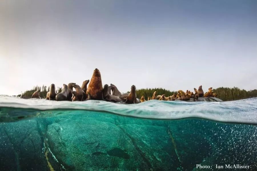 B270CD3AD54F2AF3564F571499DDBADA3E52B984_size63_w900_h600_4kdi3 B270CD3AD54F2AF3564F571499DDBADA3E52B984_size63_w900_h600_4kdi3