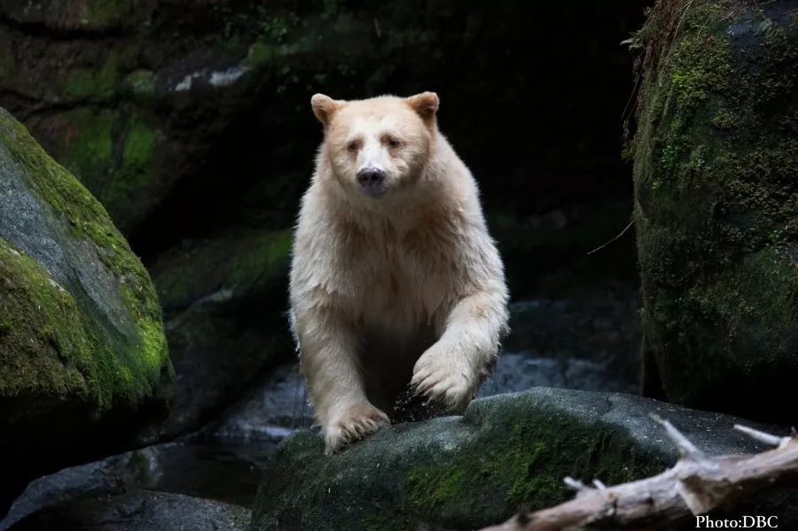 B55A1802525EE07C3F828074C2C51F4AE697AA9C_size81_w900_h599_8hzp4 B55A1802525EE07C3F828074C2C51F4AE697AA9C_size81_w900_h599_8hzp4