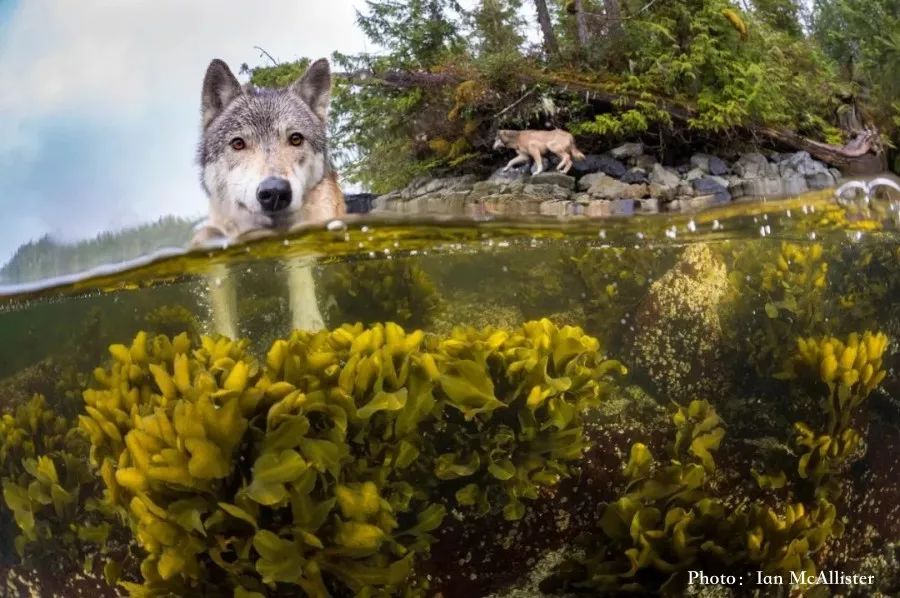 BEA8392DFF27B85574C5581EDAD07C66BE33BB9F_size104_w900_h598_rtm6h BEA8392DFF27B85574C5581EDAD07C66BE33BB9F_size104_w900_h598_rtm6h