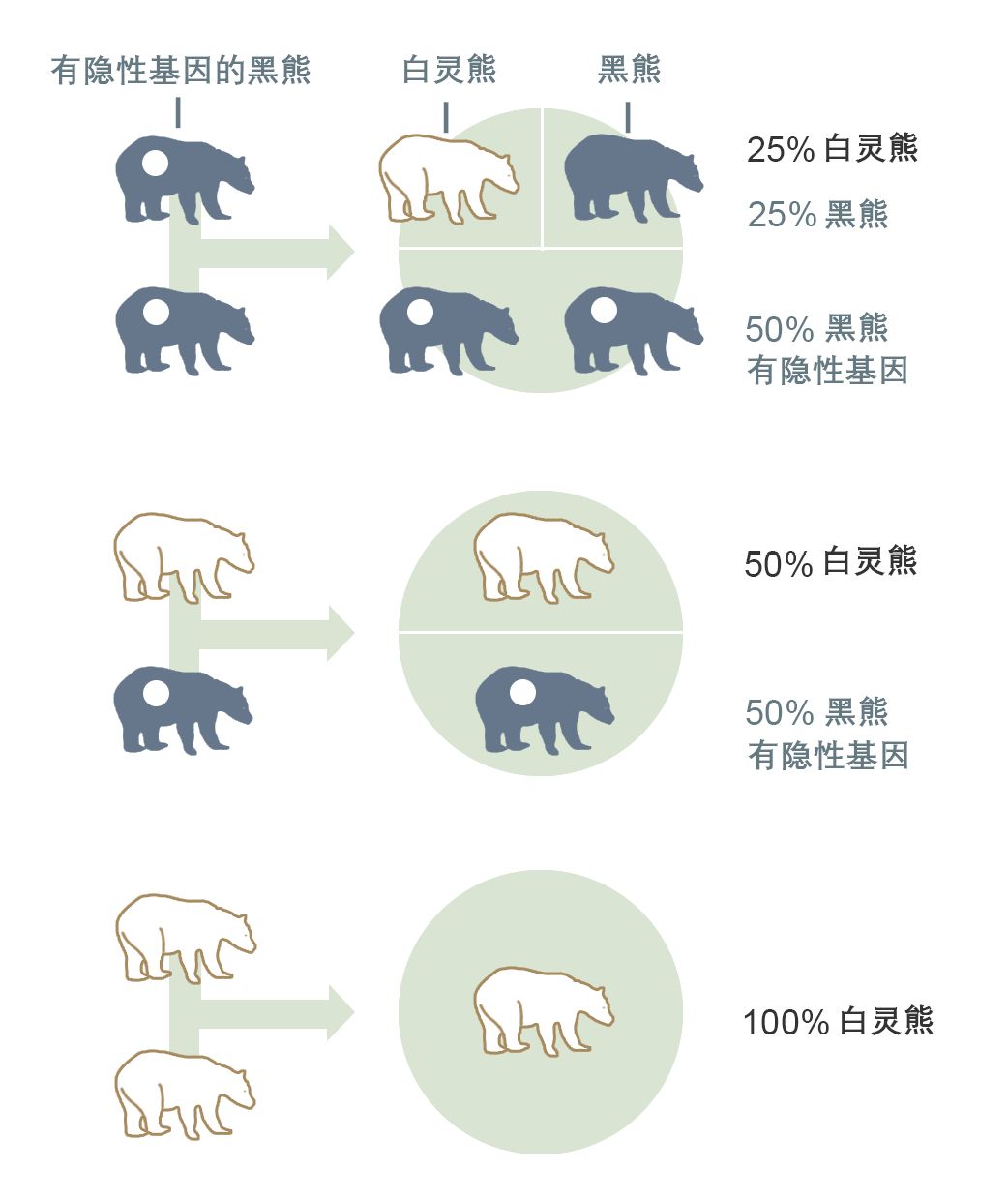 BF6F6544F2BBF83E0B6FBF601E331578E1C02A77_size72_w1042_h1239_evf4c BF6F6544F2BBF83E0B6FBF601E331578E1C02A77_size72_w1042_h1239_evf4c