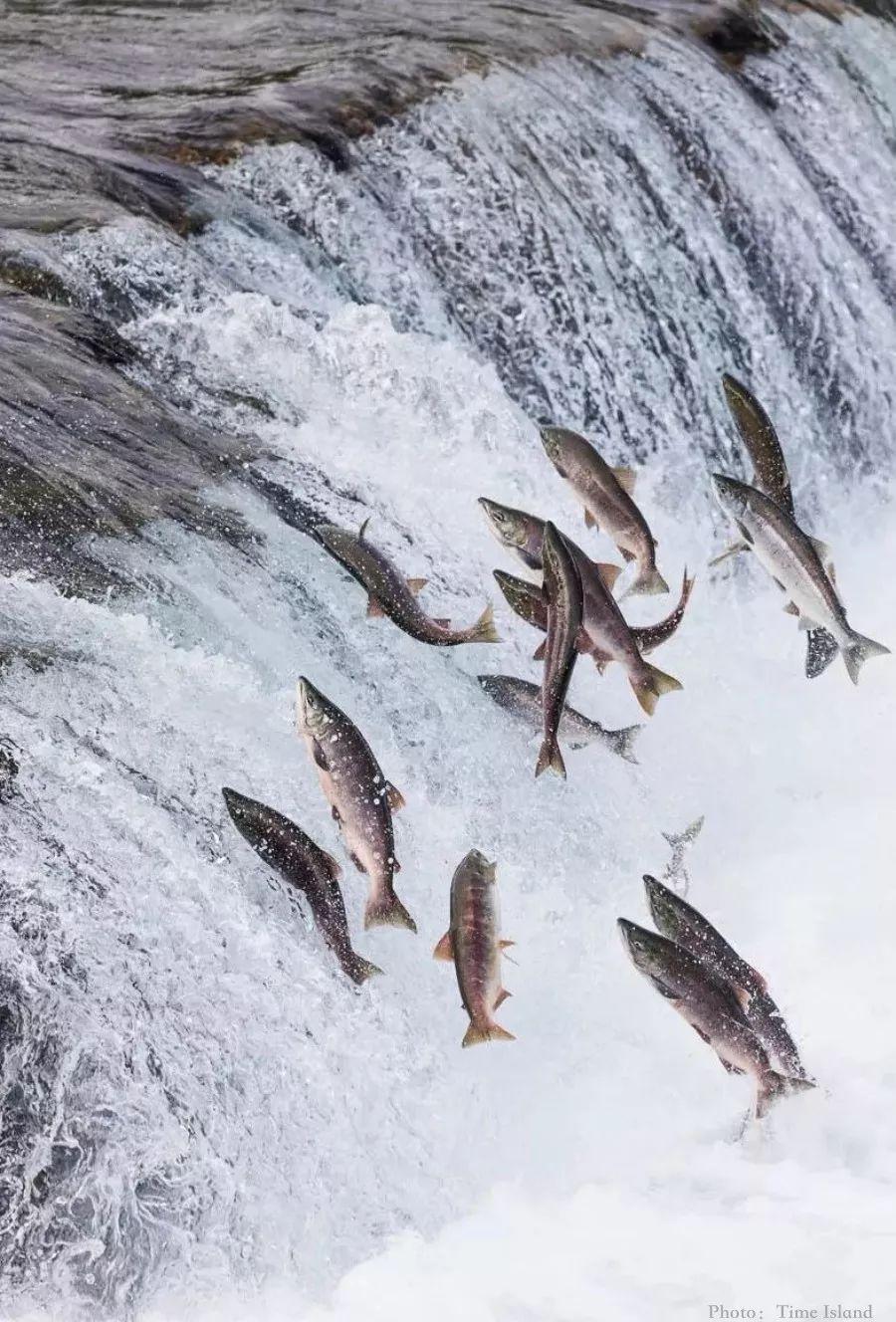 D796575EF8E718C77F8063B54F2BCEFA1398FD3F_size206_w900_h1328_lqit1 D796575EF8E718C77F8063B54F2BCEFA1398FD3F_size206_w900_h1328_lqit1