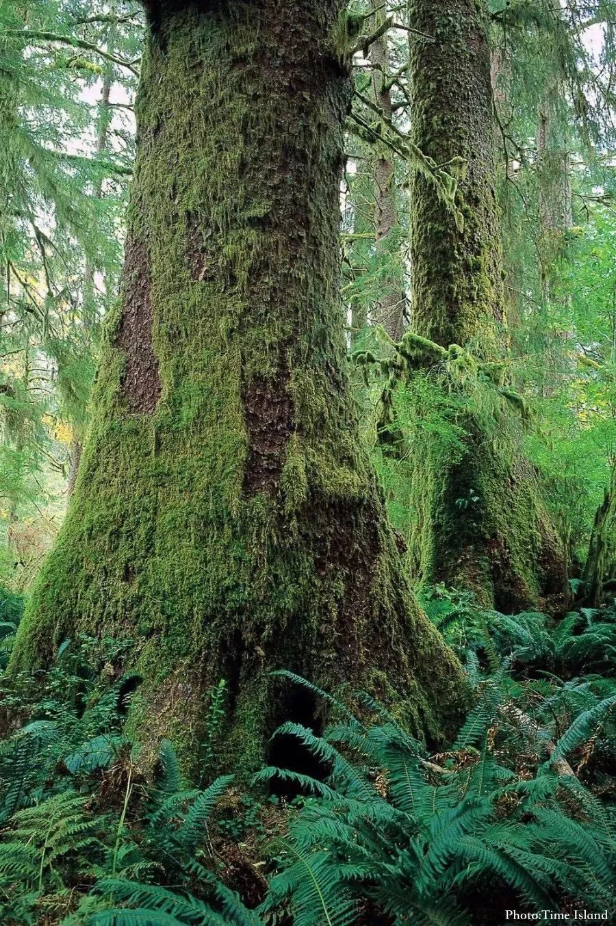 DAAB29E83499AF4D62AE4FF4A27131D19A86AF5C_size448_w900_h1353_rdkhq DAAB29E83499AF4D62AE4FF4A27131D19A86AF5C_size448_w900_h1353_rdkhq