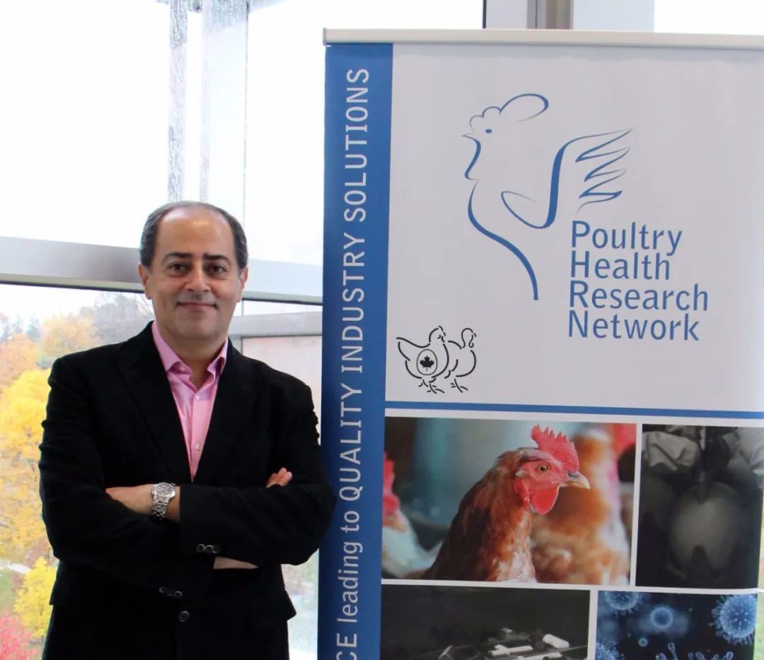 OMA2bicZMEgFPkriaKGlmAQB956IqrZQ4DwLPqDV7twe2nD6ib4xajdWcXYYGJsxaiaQmYuyia5O6rrQEUjVs2VJHuw_zob4r