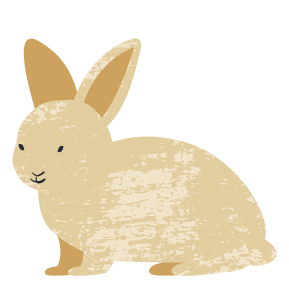 pHGhhYImXp33j0ibUPo64JK0F0RuPLfTiaibLibGH87Zf2XtbYHB83GIVkIybdYxnhrdLFtjfFfKYPjh1icCXtzW2uQ_bagwn