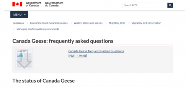 23_12045U536_12_62741102060cb 23_12045U536_12_62741102060cb