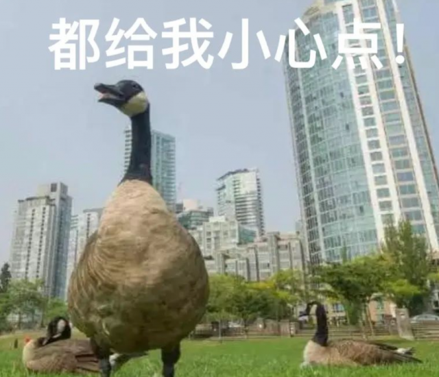 23_12045U536_13_6274110259e18 23_12045U536_13_6274110259e18